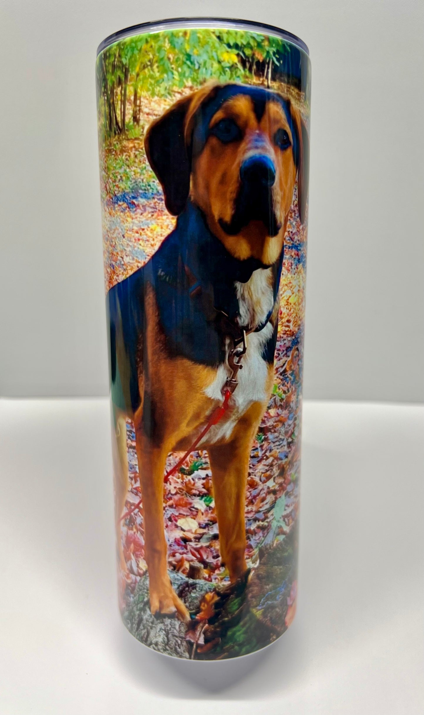 20 oz Double-Wall Stainless Steel Drinking Tumbler - Ready to Ship